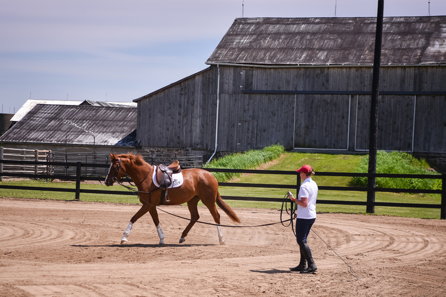 claire-training