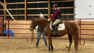 Jolene first day trotting under saddle