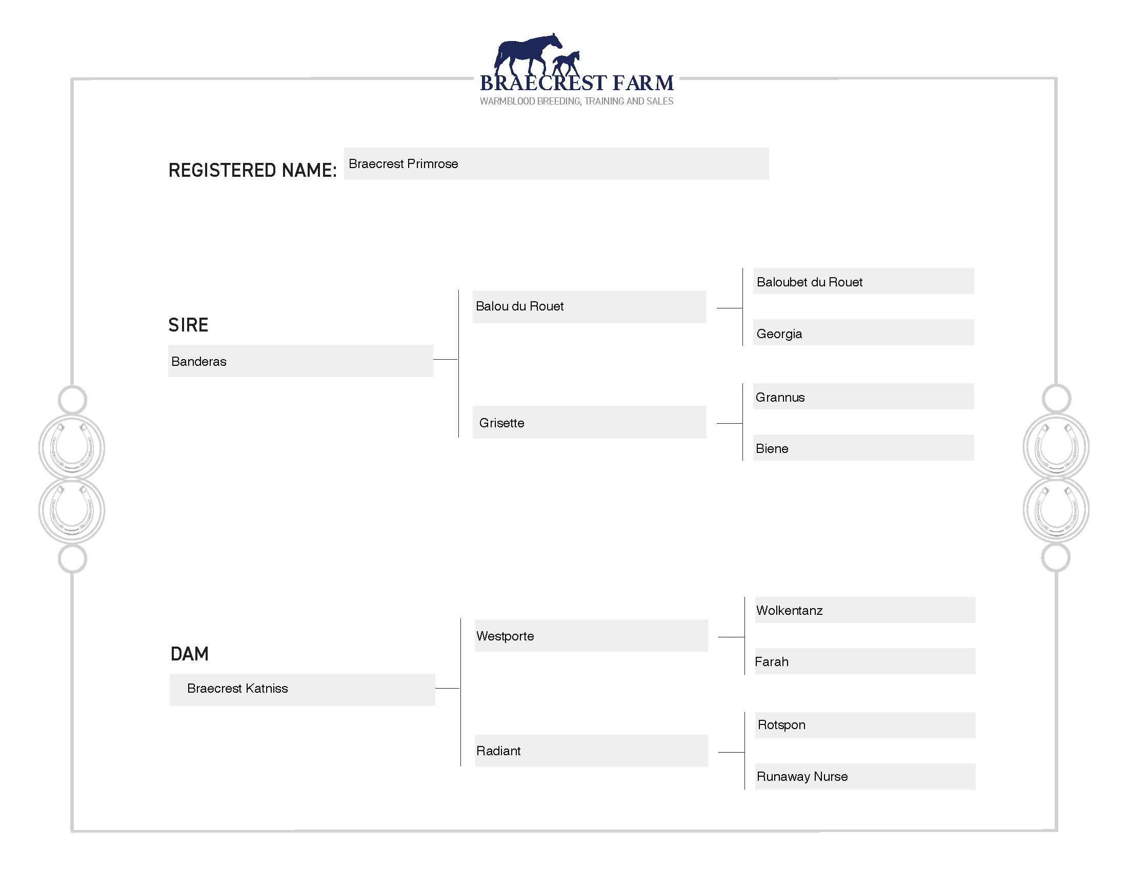 BraecrestPrimrosePedigree